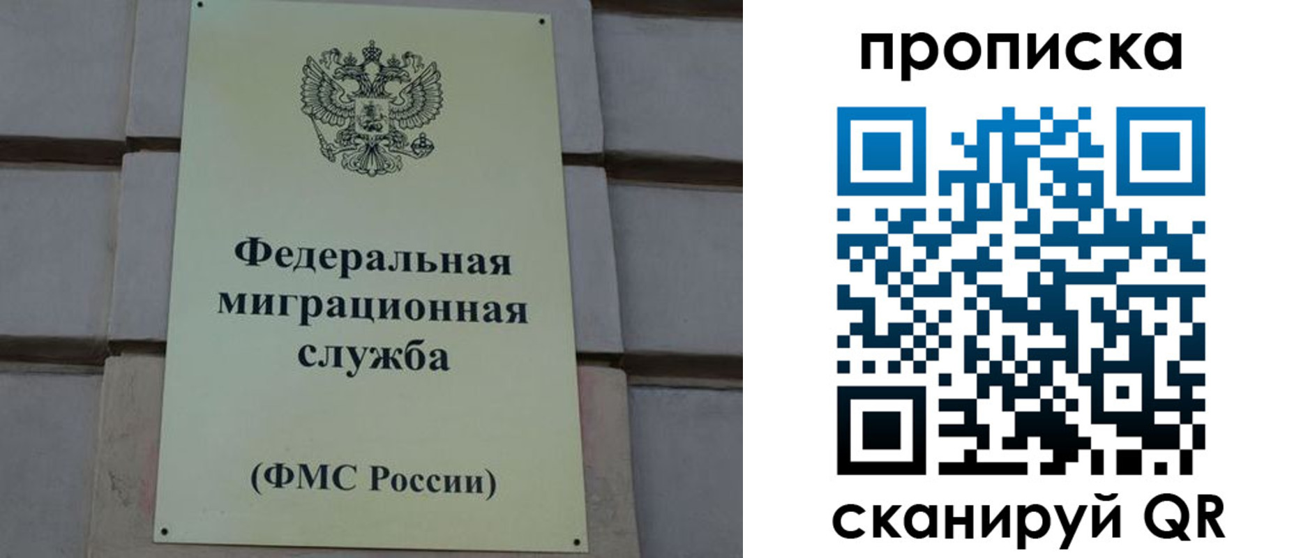 прописка поиск в Таганроге